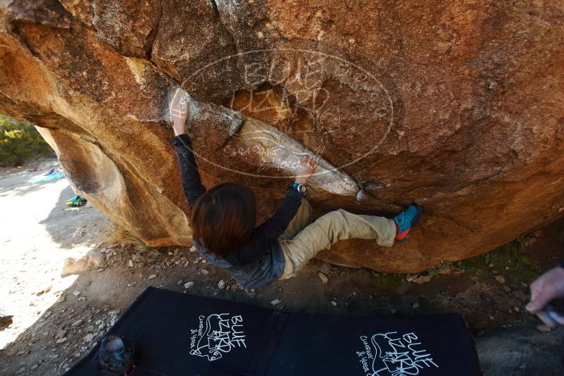 Bouldering in Hueco Tanks on 01/05/2019 with Blue Lizard Climbing and Yoga

Filename: SRM_20190105_1146410.jpg
Aperture: f/2.8
Shutter Speed: 1/320
Body: Canon EOS-1D Mark II
Lens: Canon EF 16-35mm f/2.8 L