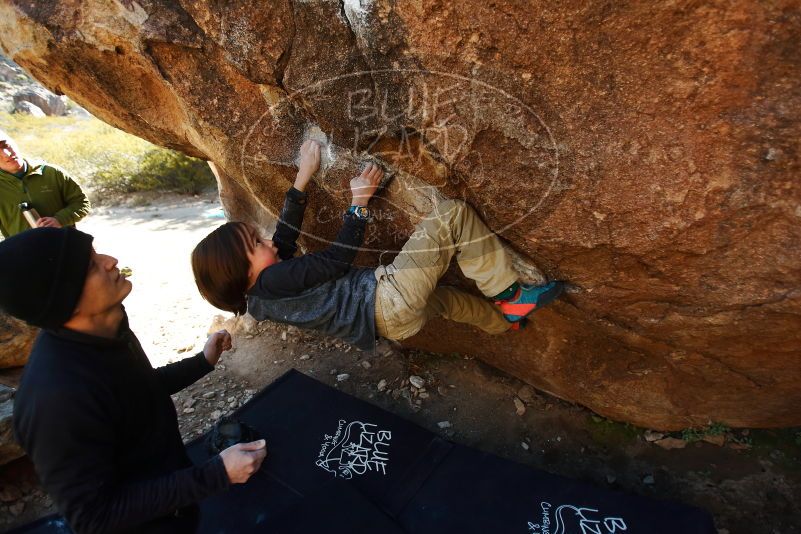 Bouldering in Hueco Tanks on 01/05/2019 with Blue Lizard Climbing and Yoga

Filename: SRM_20190105_1146520.jpg
Aperture: f/2.8
Shutter Speed: 1/400
Body: Canon EOS-1D Mark II
Lens: Canon EF 16-35mm f/2.8 L