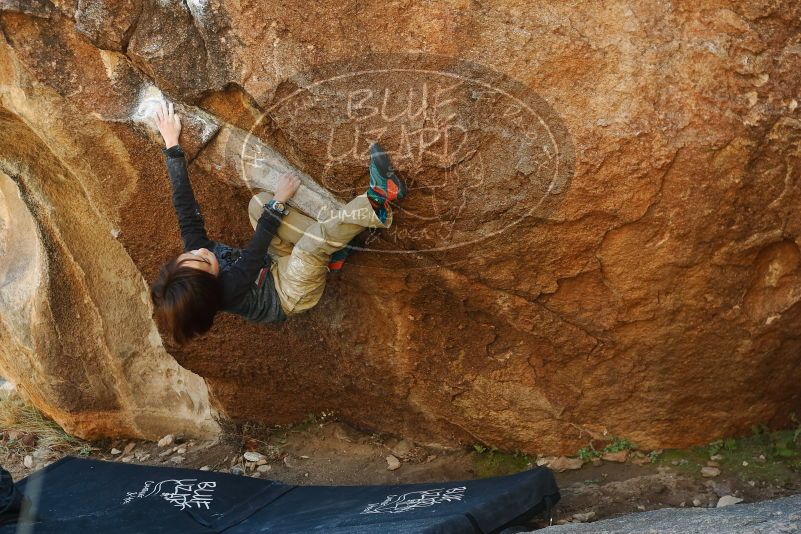 Bouldering in Hueco Tanks on 01/05/2019 with Blue Lizard Climbing and Yoga

Filename: SRM_20190105_1155280.jpg
Aperture: f/3.2
Shutter Speed: 1/250
Body: Canon EOS-1D Mark II
Lens: Canon EF 50mm f/1.8 II