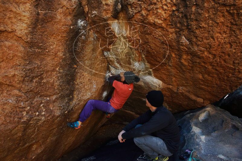 Bouldering in Hueco Tanks on 01/05/2019 with Blue Lizard Climbing and Yoga

Filename: SRM_20190105_1225070.jpg
Aperture: f/4.0
Shutter Speed: 1/200
Body: Canon EOS-1D Mark II
Lens: Canon EF 16-35mm f/2.8 L