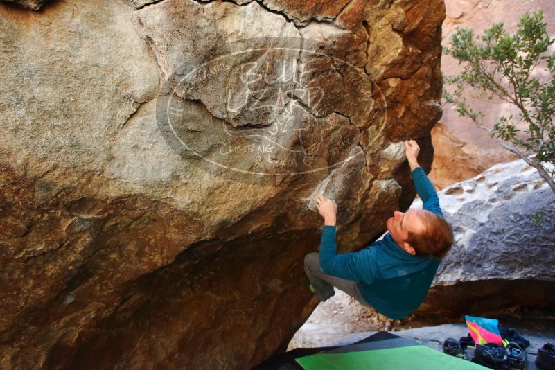 Bouldering in Hueco Tanks on 01/05/2019 with Blue Lizard Climbing and Yoga

Filename: SRM_20190105_1319180.jpg
Aperture: f/4.0
Shutter Speed: 1/200
Body: Canon EOS-1D Mark II
Lens: Canon EF 16-35mm f/2.8 L