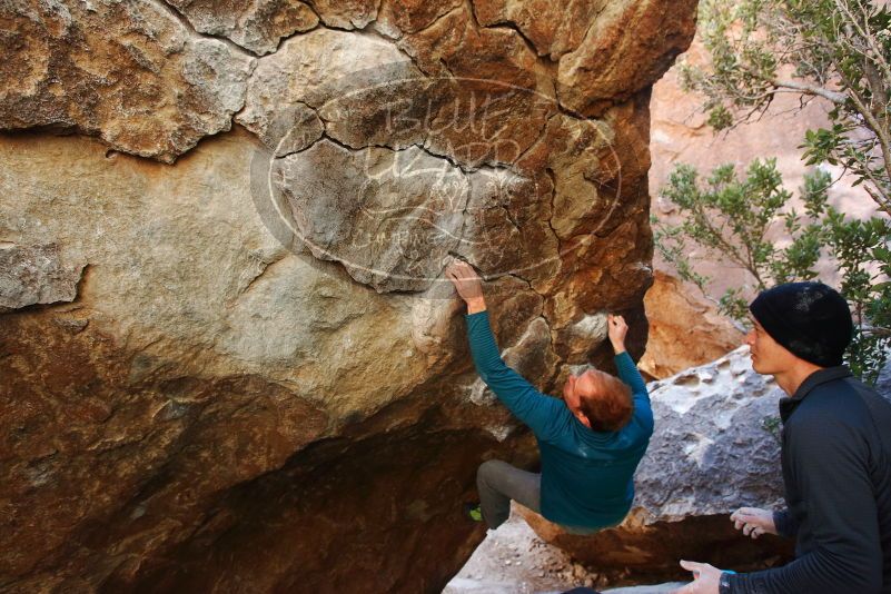 Bouldering in Hueco Tanks on 01/05/2019 with Blue Lizard Climbing and Yoga

Filename: SRM_20190105_1321000.jpg
Aperture: f/4.0
Shutter Speed: 1/200
Body: Canon EOS-1D Mark II
Lens: Canon EF 16-35mm f/2.8 L