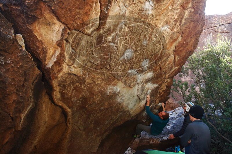 Bouldering in Hueco Tanks on 01/05/2019 with Blue Lizard Climbing and Yoga

Filename: SRM_20190105_1358350.jpg
Aperture: f/5.0
Shutter Speed: 1/250
Body: Canon EOS-1D Mark II
Lens: Canon EF 16-35mm f/2.8 L