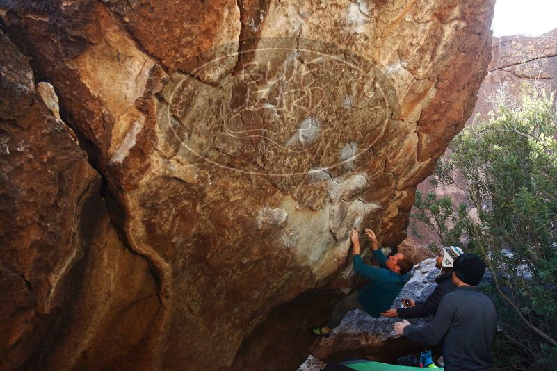 Bouldering in Hueco Tanks on 01/05/2019 with Blue Lizard Climbing and Yoga

Filename: SRM_20190105_1358390.jpg
Aperture: f/5.0
Shutter Speed: 1/250
Body: Canon EOS-1D Mark II
Lens: Canon EF 16-35mm f/2.8 L