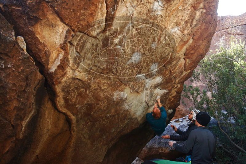 Bouldering in Hueco Tanks on 01/05/2019 with Blue Lizard Climbing and Yoga

Filename: SRM_20190105_1358490.jpg
Aperture: f/5.0
Shutter Speed: 1/250
Body: Canon EOS-1D Mark II
Lens: Canon EF 16-35mm f/2.8 L