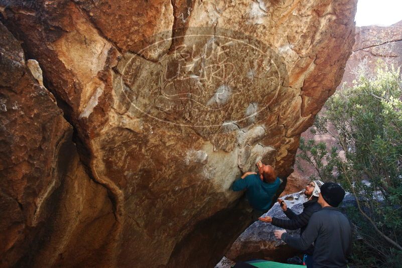 Bouldering in Hueco Tanks on 01/05/2019 with Blue Lizard Climbing and Yoga

Filename: SRM_20190105_1358491.jpg
Aperture: f/5.0
Shutter Speed: 1/250
Body: Canon EOS-1D Mark II
Lens: Canon EF 16-35mm f/2.8 L