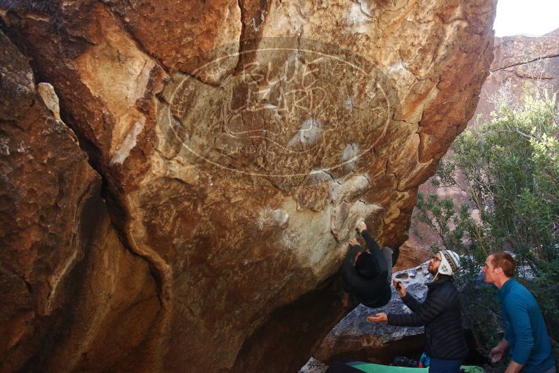 Bouldering in Hueco Tanks on 01/05/2019 with Blue Lizard Climbing and Yoga

Filename: SRM_20190105_1401290.jpg
Aperture: f/5.0
Shutter Speed: 1/250
Body: Canon EOS-1D Mark II
Lens: Canon EF 16-35mm f/2.8 L