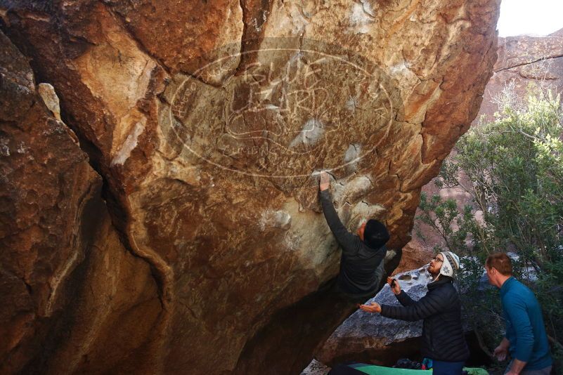 Bouldering in Hueco Tanks on 01/05/2019 with Blue Lizard Climbing and Yoga

Filename: SRM_20190105_1401292.jpg
Aperture: f/5.0
Shutter Speed: 1/250
Body: Canon EOS-1D Mark II
Lens: Canon EF 16-35mm f/2.8 L