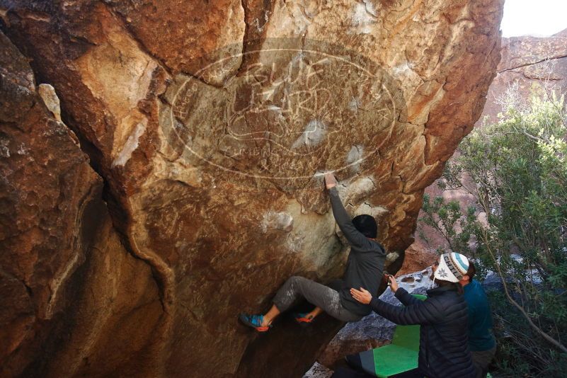 Bouldering in Hueco Tanks on 01/05/2019 with Blue Lizard Climbing and Yoga

Filename: SRM_20190105_1401350.jpg
Aperture: f/5.0
Shutter Speed: 1/250
Body: Canon EOS-1D Mark II
Lens: Canon EF 16-35mm f/2.8 L