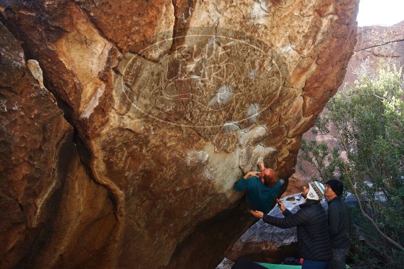 Bouldering in Hueco Tanks on 01/05/2019 with Blue Lizard Climbing and Yoga

Filename: SRM_20190105_1405260.jpg
Aperture: f/5.0
Shutter Speed: 1/250
Body: Canon EOS-1D Mark II
Lens: Canon EF 16-35mm f/2.8 L