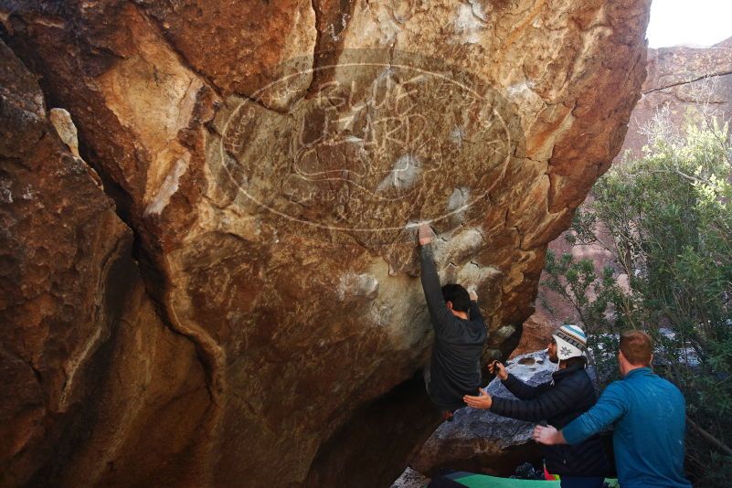 Bouldering in Hueco Tanks on 01/05/2019 with Blue Lizard Climbing and Yoga

Filename: SRM_20190105_1406070.jpg
Aperture: f/5.0
Shutter Speed: 1/250
Body: Canon EOS-1D Mark II
Lens: Canon EF 16-35mm f/2.8 L