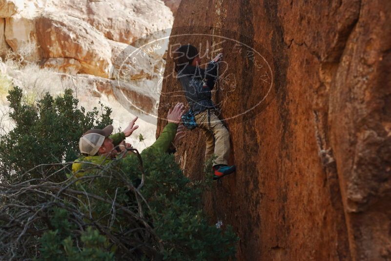 Bouldering in Hueco Tanks on 01/05/2019 with Blue Lizard Climbing and Yoga

Filename: SRM_20190105_1502350.jpg
Aperture: f/4.0
Shutter Speed: 1/400
Body: Canon EOS-1D Mark II
Lens: Canon EF 50mm f/1.8 II