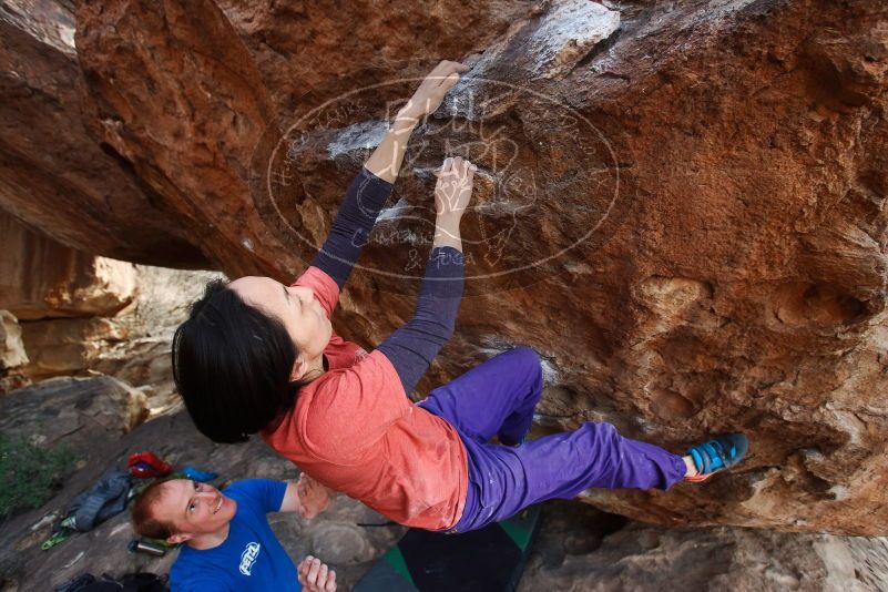 Bouldering in Hueco Tanks on 01/05/2019 with Blue Lizard Climbing and Yoga

Filename: SRM_20190105_1610070.jpg
Aperture: f/4.5
Shutter Speed: 1/250
Body: Canon EOS-1D Mark II
Lens: Canon EF 16-35mm f/2.8 L