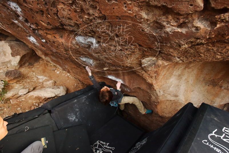 Bouldering in Hueco Tanks on 01/05/2019 with Blue Lizard Climbing and Yoga

Filename: SRM_20190105_1719000.jpg
Aperture: f/4.0
Shutter Speed: 1/200
Body: Canon EOS-1D Mark II
Lens: Canon EF 16-35mm f/2.8 L