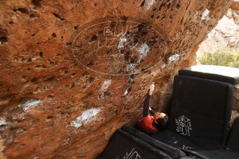 Bouldering in Hueco Tanks on 01/05/2019 with Blue Lizard Climbing and Yoga

Filename: SRM_20190105_1727050.jpg
Aperture: f/4.5
Shutter Speed: 1/200
Body: Canon EOS-1D Mark II
Lens: Canon EF 16-35mm f/2.8 L