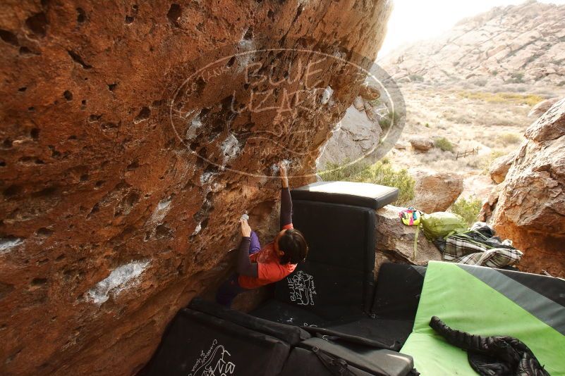 Bouldering in Hueco Tanks on 01/05/2019 with Blue Lizard Climbing and Yoga

Filename: SRM_20190105_1727100.jpg
Aperture: f/6.3
Shutter Speed: 1/200
Body: Canon EOS-1D Mark II
Lens: Canon EF 16-35mm f/2.8 L