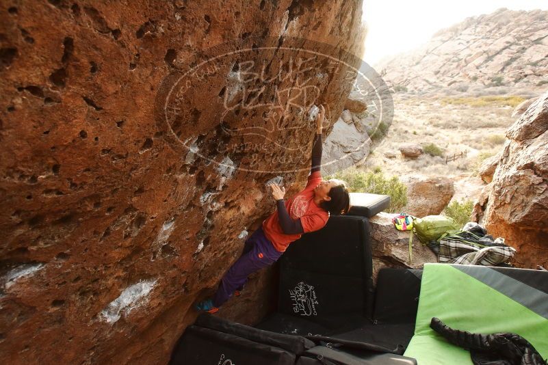 Bouldering in Hueco Tanks on 01/05/2019 with Blue Lizard Climbing and Yoga

Filename: SRM_20190105_1727160.jpg
Aperture: f/6.3
Shutter Speed: 1/200
Body: Canon EOS-1D Mark II
Lens: Canon EF 16-35mm f/2.8 L