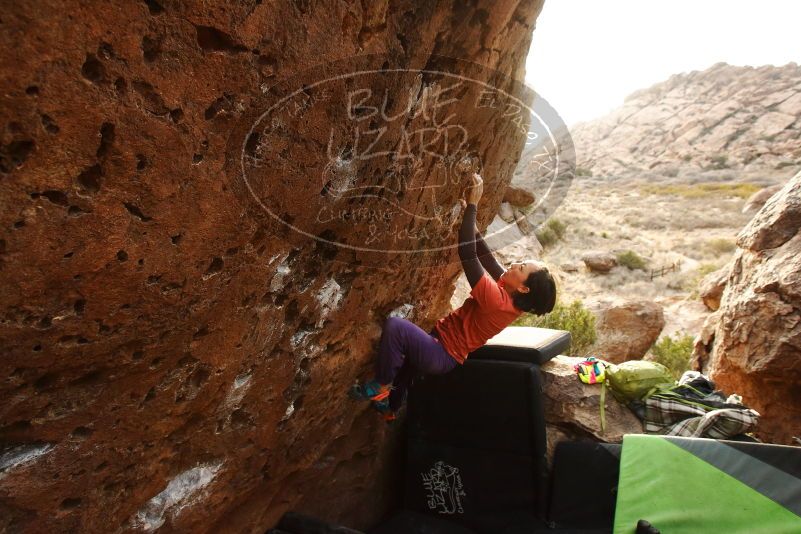 Bouldering in Hueco Tanks on 01/05/2019 with Blue Lizard Climbing and Yoga

Filename: SRM_20190105_1727200.jpg
Aperture: f/5.6
Shutter Speed: 1/250
Body: Canon EOS-1D Mark II
Lens: Canon EF 16-35mm f/2.8 L