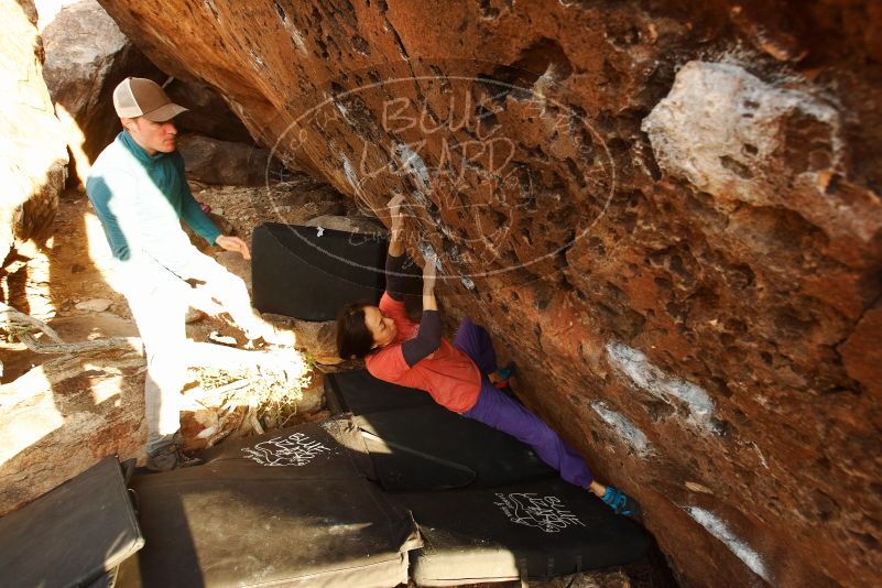 Bouldering in Hueco Tanks on 01/05/2019 with Blue Lizard Climbing and Yoga

Filename: SRM_20190105_1743190.jpg
Aperture: f/5.0
Shutter Speed: 1/200
Body: Canon EOS-1D Mark II
Lens: Canon EF 16-35mm f/2.8 L