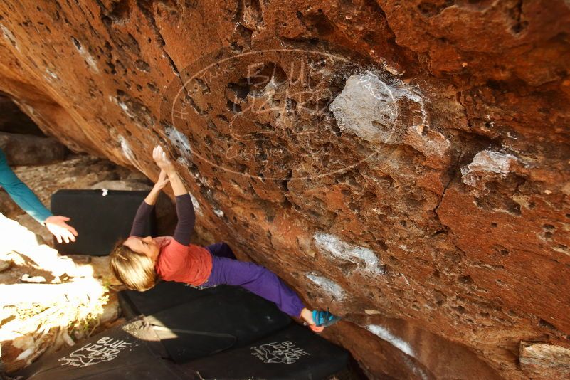 Bouldering in Hueco Tanks on 01/05/2019 with Blue Lizard Climbing and Yoga

Filename: SRM_20190105_1743240.jpg
Aperture: f/4.5
Shutter Speed: 1/200
Body: Canon EOS-1D Mark II
Lens: Canon EF 16-35mm f/2.8 L