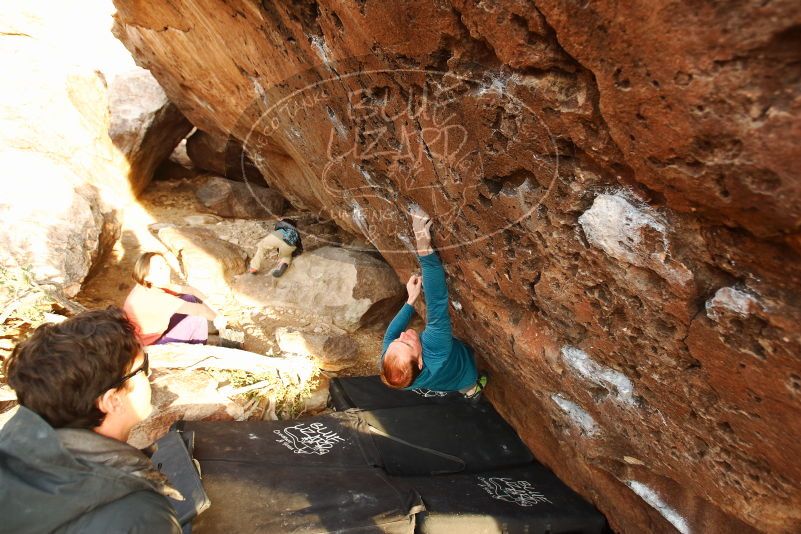 Bouldering in Hueco Tanks on 01/05/2019 with Blue Lizard Climbing and Yoga

Filename: SRM_20190105_1748100.jpg
Aperture: f/4.0
Shutter Speed: 1/200
Body: Canon EOS-1D Mark II
Lens: Canon EF 16-35mm f/2.8 L