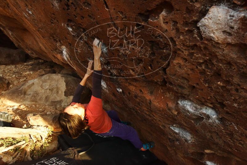 Bouldering in Hueco Tanks on 01/05/2019 with Blue Lizard Climbing and Yoga

Filename: SRM_20190105_1749050.jpg
Aperture: f/6.3
Shutter Speed: 1/200
Body: Canon EOS-1D Mark II
Lens: Canon EF 16-35mm f/2.8 L