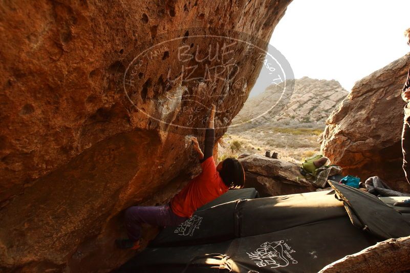 Bouldering in Hueco Tanks on 01/05/2019 with Blue Lizard Climbing and Yoga

Filename: SRM_20190105_1754470.jpg
Aperture: f/6.3
Shutter Speed: 1/200
Body: Canon EOS-1D Mark II
Lens: Canon EF 16-35mm f/2.8 L