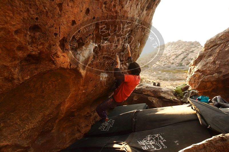 Bouldering in Hueco Tanks on 01/05/2019 with Blue Lizard Climbing and Yoga

Filename: SRM_20190105_1754500.jpg
Aperture: f/5.0
Shutter Speed: 1/250
Body: Canon EOS-1D Mark II
Lens: Canon EF 16-35mm f/2.8 L