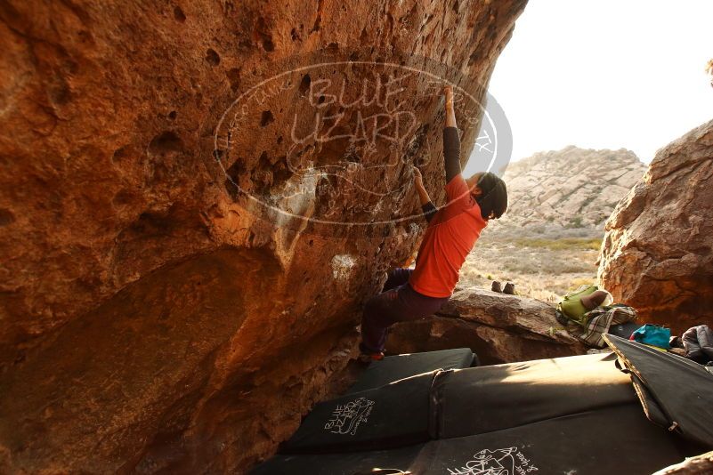 Bouldering in Hueco Tanks on 01/05/2019 with Blue Lizard Climbing and Yoga

Filename: SRM_20190105_1754540.jpg
Aperture: f/5.0
Shutter Speed: 1/250
Body: Canon EOS-1D Mark II
Lens: Canon EF 16-35mm f/2.8 L