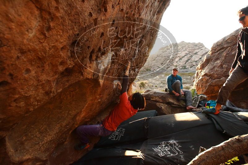 Bouldering in Hueco Tanks on 01/05/2019 with Blue Lizard Climbing and Yoga

Filename: SRM_20190105_1759090.jpg
Aperture: f/5.0
Shutter Speed: 1/250
Body: Canon EOS-1D Mark II
Lens: Canon EF 16-35mm f/2.8 L