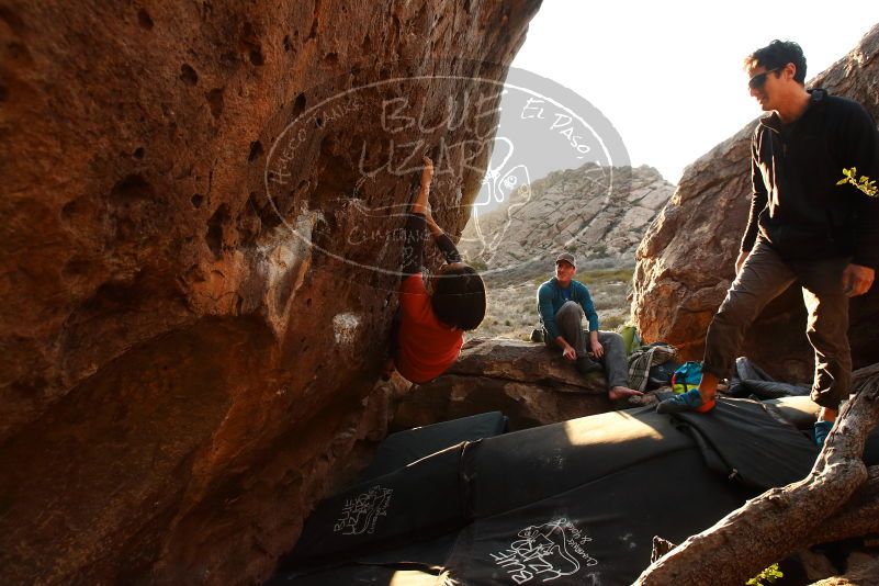 Bouldering in Hueco Tanks on 01/05/2019 with Blue Lizard Climbing and Yoga

Filename: SRM_20190105_1759140.jpg
Aperture: f/5.6
Shutter Speed: 1/250
Body: Canon EOS-1D Mark II
Lens: Canon EF 16-35mm f/2.8 L