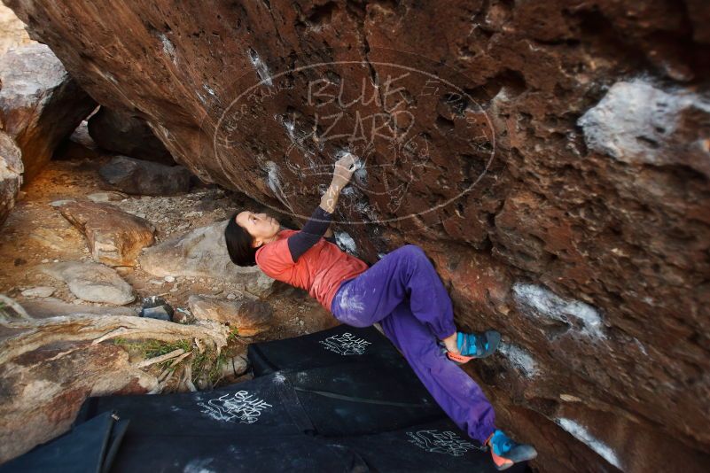 Bouldering in Hueco Tanks on 01/05/2019 with Blue Lizard Climbing and Yoga

Filename: SRM_20190105_1805400.jpg
Aperture: f/2.8
Shutter Speed: 1/160
Body: Canon EOS-1D Mark II
Lens: Canon EF 16-35mm f/2.8 L