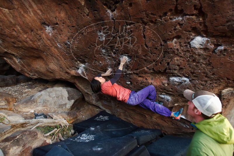 Bouldering in Hueco Tanks on 01/05/2019 with Blue Lizard Climbing and Yoga

Filename: SRM_20190105_1812230.jpg
Aperture: f/2.8
Shutter Speed: 1/80
Body: Canon EOS-1D Mark II
Lens: Canon EF 16-35mm f/2.8 L