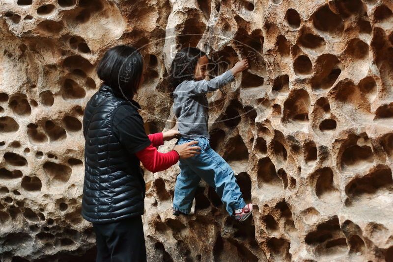 Bouldering in Hueco Tanks on 01/06/2019 with Blue Lizard Climbing and Yoga

Filename: SRM_20190106_1147261.jpg
Aperture: f/3.2
Shutter Speed: 1/100
Body: Canon EOS-1D Mark II
Lens: Canon EF 50mm f/1.8 II