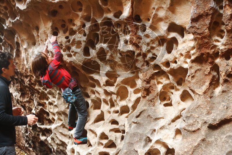 Bouldering in Hueco Tanks on 01/06/2019 with Blue Lizard Climbing and Yoga

Filename: SRM_20190106_1153370.jpg
Aperture: f/2.5
Shutter Speed: 1/100
Body: Canon EOS-1D Mark II
Lens: Canon EF 50mm f/1.8 II