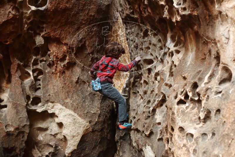 Bouldering in Hueco Tanks on 01/06/2019 with Blue Lizard Climbing and Yoga

Filename: SRM_20190106_1156190.jpg
Aperture: f/3.5
Shutter Speed: 1/80
Body: Canon EOS-1D Mark II
Lens: Canon EF 50mm f/1.8 II