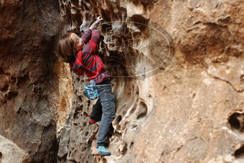 Bouldering in Hueco Tanks on 01/06/2019 with Blue Lizard Climbing and Yoga

Filename: SRM_20190106_1156390.jpg
Aperture: f/3.2
Shutter Speed: 1/125
Body: Canon EOS-1D Mark II
Lens: Canon EF 50mm f/1.8 II