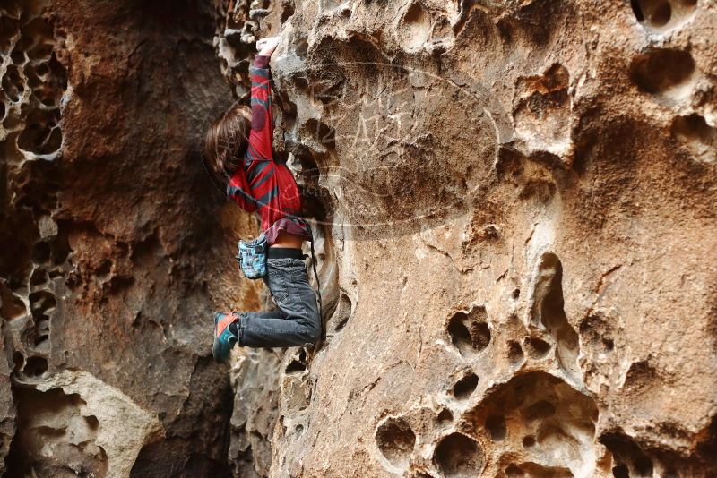 Bouldering in Hueco Tanks on 01/06/2019 with Blue Lizard Climbing and Yoga

Filename: SRM_20190106_1156470.jpg
Aperture: f/3.2
Shutter Speed: 1/125
Body: Canon EOS-1D Mark II
Lens: Canon EF 50mm f/1.8 II