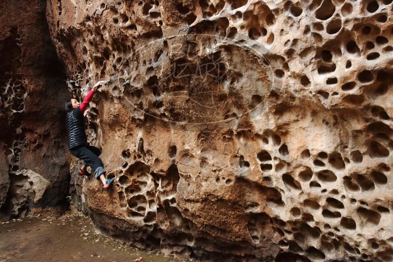 Bouldering in Hueco Tanks on 01/06/2019 with Blue Lizard Climbing and Yoga

Filename: SRM_20190106_1201160.jpg
Aperture: f/4.5
Shutter Speed: 1/100
Body: Canon EOS-1D Mark II
Lens: Canon EF 16-35mm f/2.8 L