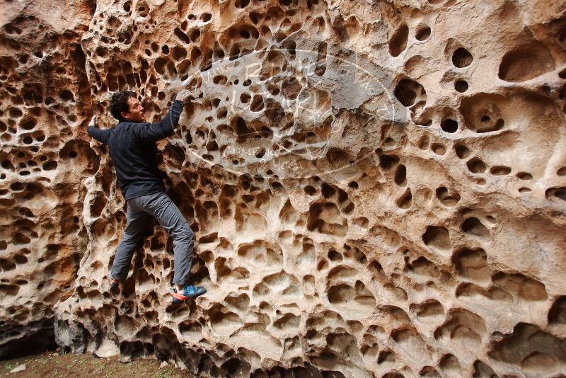 Bouldering in Hueco Tanks on 01/06/2019 with Blue Lizard Climbing and Yoga

Filename: SRM_20190106_1206161.jpg
Aperture: f/4.0
Shutter Speed: 1/80
Body: Canon EOS-1D Mark II
Lens: Canon EF 16-35mm f/2.8 L