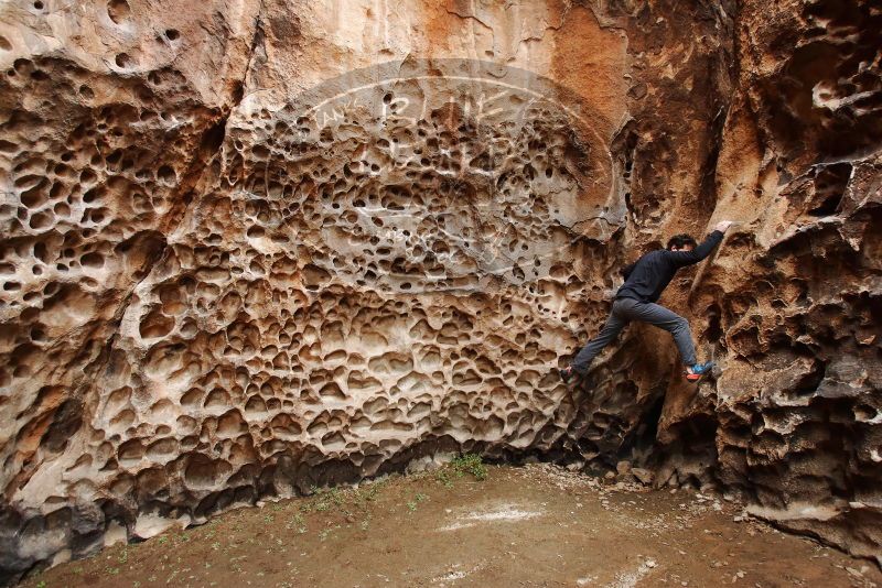 Bouldering in Hueco Tanks on 01/06/2019 with Blue Lizard Climbing and Yoga

Filename: SRM_20190106_1206250.jpg
Aperture: f/4.5
Shutter Speed: 1/80
Body: Canon EOS-1D Mark II
Lens: Canon EF 16-35mm f/2.8 L