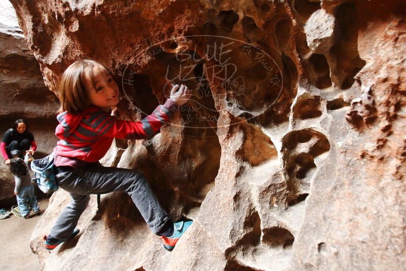 Bouldering in Hueco Tanks on 01/06/2019 with Blue Lizard Climbing and Yoga

Filename: SRM_20190106_1207310.jpg
Aperture: f/2.8
Shutter Speed: 1/60
Body: Canon EOS-1D Mark II
Lens: Canon EF 16-35mm f/2.8 L