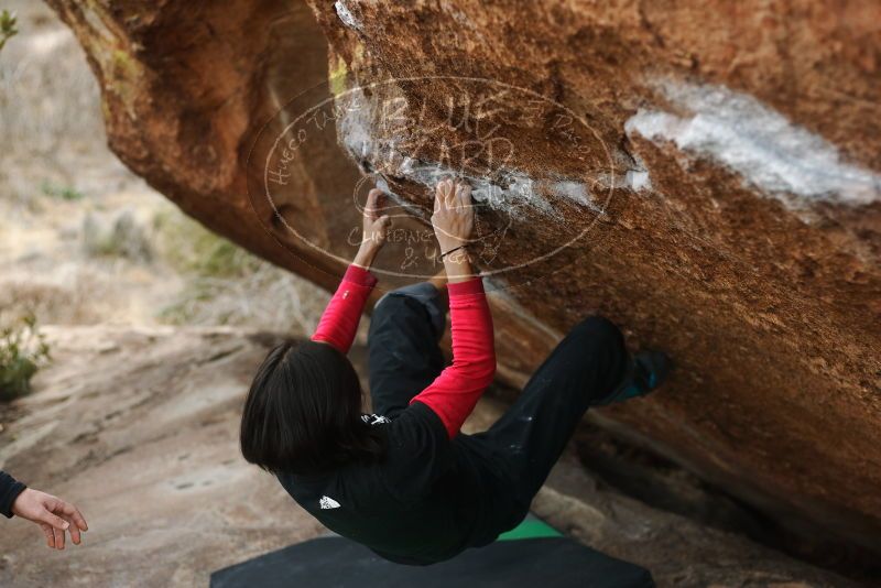 Bouldering in Hueco Tanks on 01/06/2019 with Blue Lizard Climbing and Yoga

Filename: SRM_20190106_1306190.jpg
Aperture: f/2.8
Shutter Speed: 1/400
Body: Canon EOS-1D Mark II
Lens: Canon EF 50mm f/1.8 II