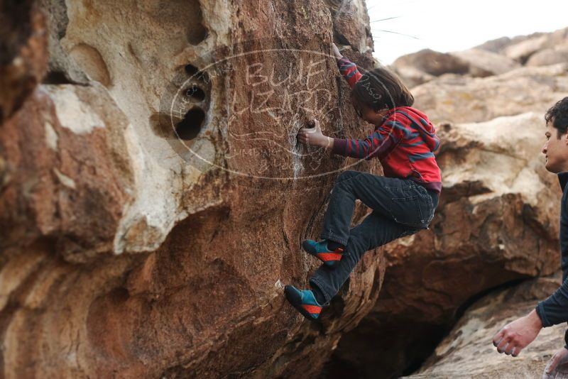 Bouldering in Hueco Tanks on 01/06/2019 with Blue Lizard Climbing and Yoga

Filename: SRM_20190106_1311500.jpg
Aperture: f/2.8
Shutter Speed: 1/1000
Body: Canon EOS-1D Mark II
Lens: Canon EF 50mm f/1.8 II