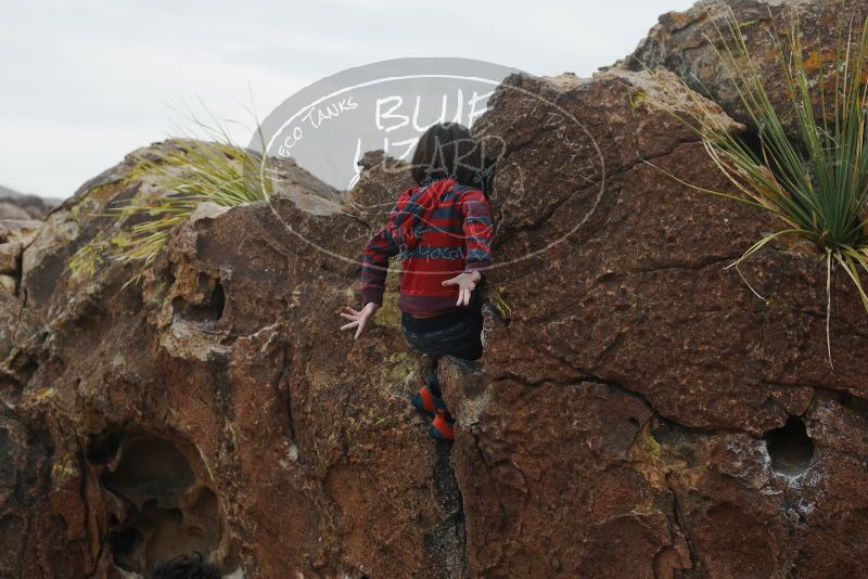 Bouldering in Hueco Tanks on 01/06/2019 with Blue Lizard Climbing and Yoga

Filename: SRM_20190106_1312410.jpg
Aperture: f/4.0
Shutter Speed: 1/1000
Body: Canon EOS-1D Mark II
Lens: Canon EF 50mm f/1.8 II