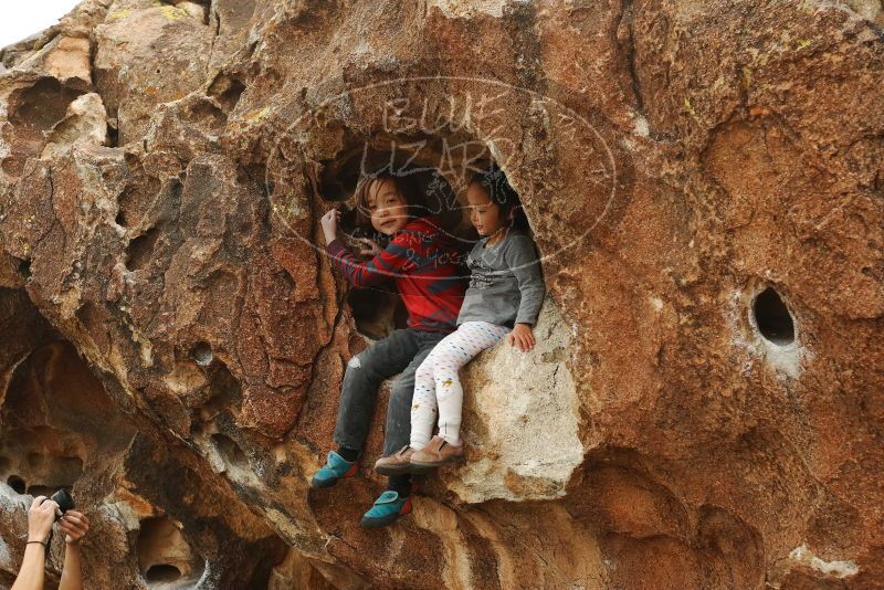 Bouldering in Hueco Tanks on 01/06/2019 with Blue Lizard Climbing and Yoga

Filename: SRM_20190106_1315310.jpg
Aperture: f/4.0
Shutter Speed: 1/640
Body: Canon EOS-1D Mark II
Lens: Canon EF 50mm f/1.8 II