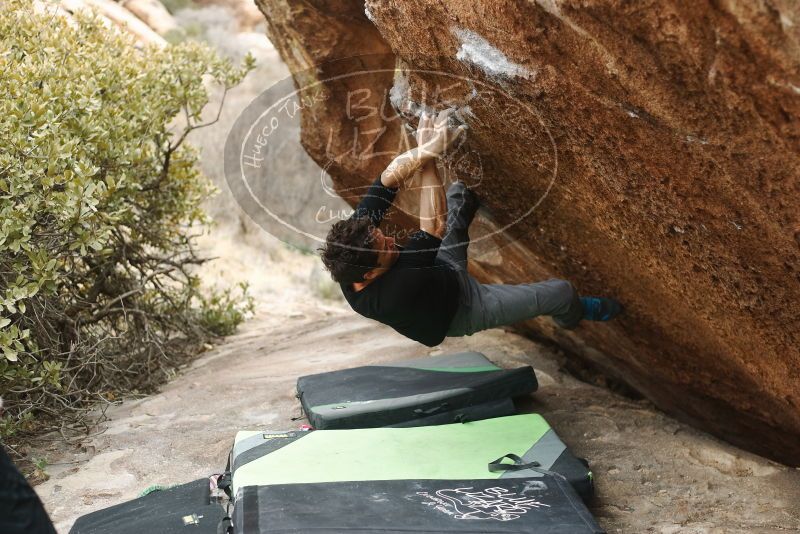 Bouldering in Hueco Tanks on 01/06/2019 with Blue Lizard Climbing and Yoga

Filename: SRM_20190106_1321080.jpg
Aperture: f/2.8
Shutter Speed: 1/250
Body: Canon EOS-1D Mark II
Lens: Canon EF 50mm f/1.8 II