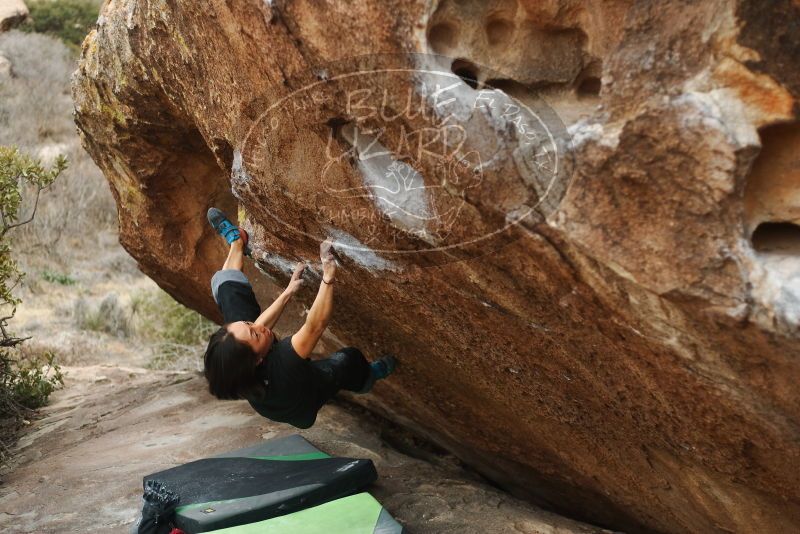 Bouldering in Hueco Tanks on 01/06/2019 with Blue Lizard Climbing and Yoga

Filename: SRM_20190106_1331101.jpg
Aperture: f/2.5
Shutter Speed: 1/400
Body: Canon EOS-1D Mark II
Lens: Canon EF 50mm f/1.8 II