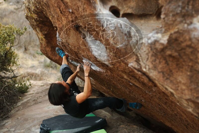 Bouldering in Hueco Tanks on 01/06/2019 with Blue Lizard Climbing and Yoga

Filename: SRM_20190106_1331200.jpg
Aperture: f/2.5
Shutter Speed: 1/400
Body: Canon EOS-1D Mark II
Lens: Canon EF 50mm f/1.8 II