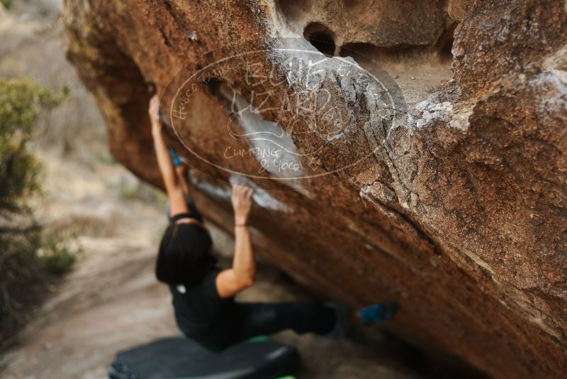 Bouldering in Hueco Tanks on 01/06/2019 with Blue Lizard Climbing and Yoga

Filename: SRM_20190106_1331210.jpg
Aperture: f/2.5
Shutter Speed: 1/500
Body: Canon EOS-1D Mark II
Lens: Canon EF 50mm f/1.8 II